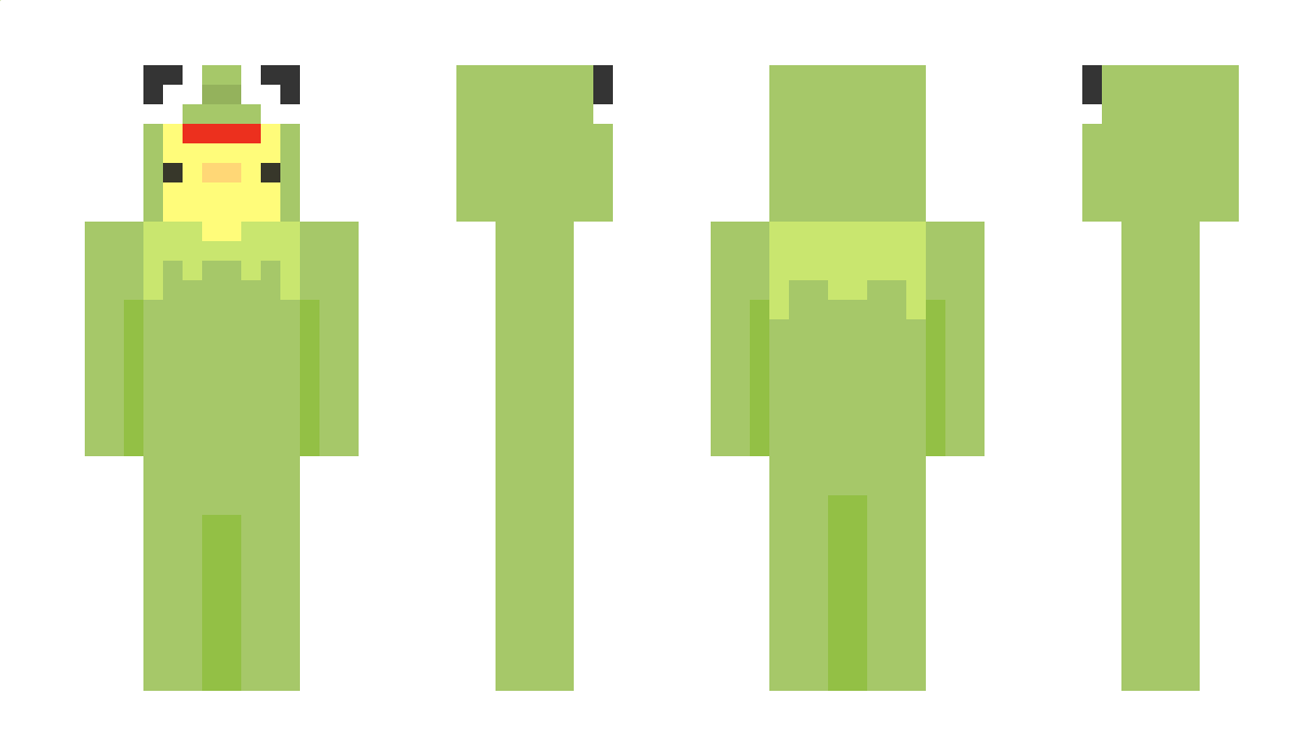 ADMDucky Minecraft Skin