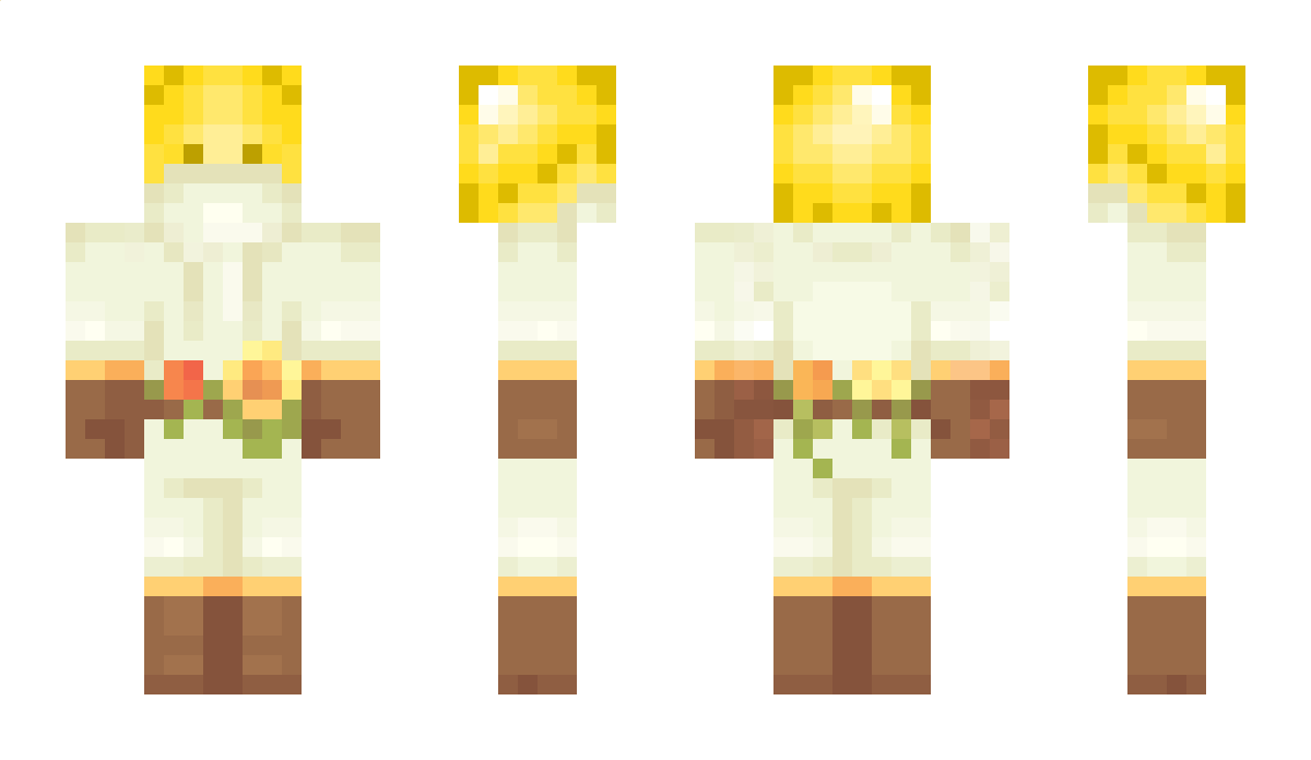 Shamelesshug Minecraft Skin