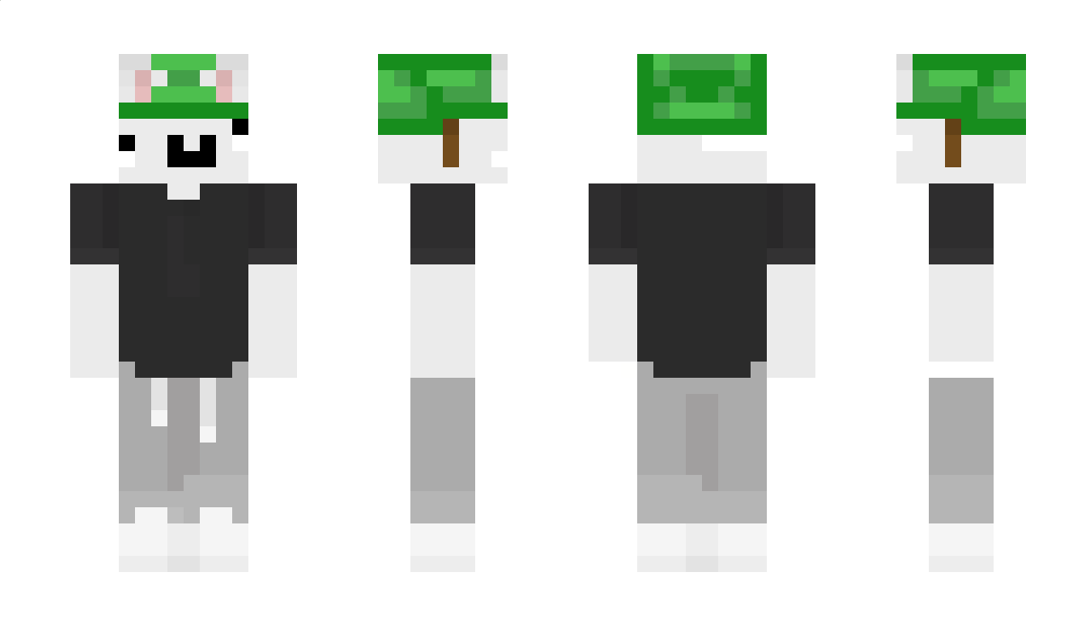 ZelvuvFanousek Minecraft Skin