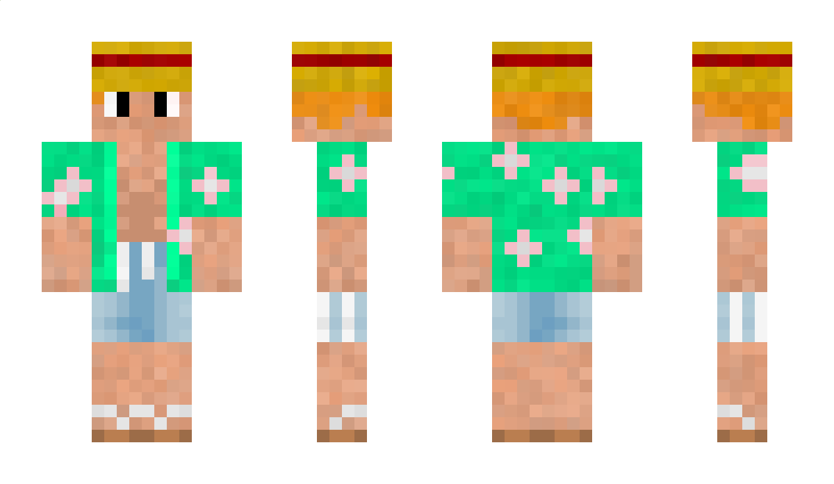 einFin Minecraft Skin