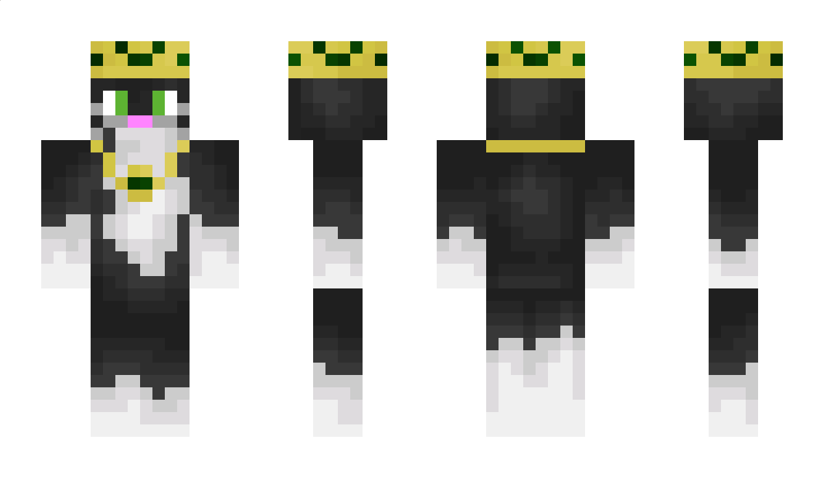 The_Kitty_King1 Minecraft Skin