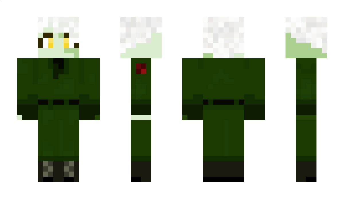 bowaxer1 Minecraft Skin