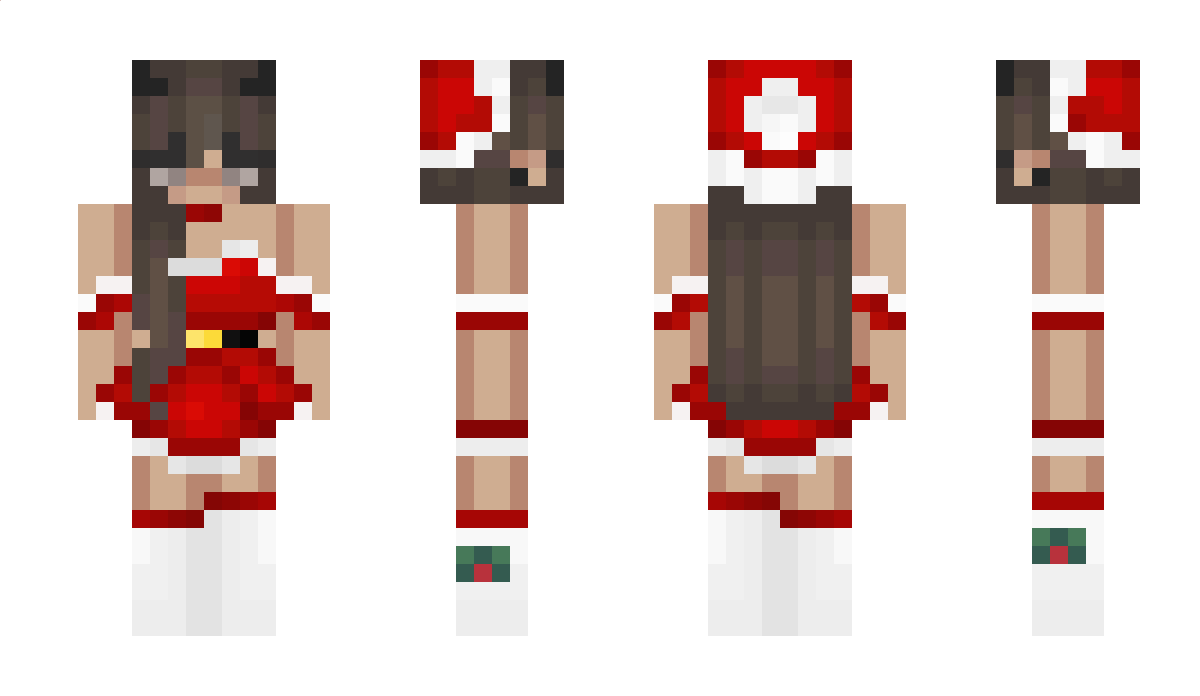 Playeritos Minecraft Skin