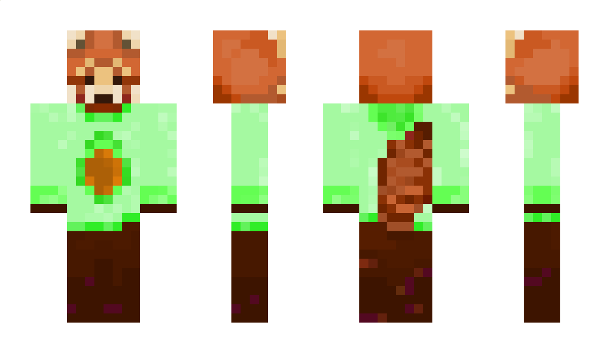 GingerNinja6918 Minecraft Skin