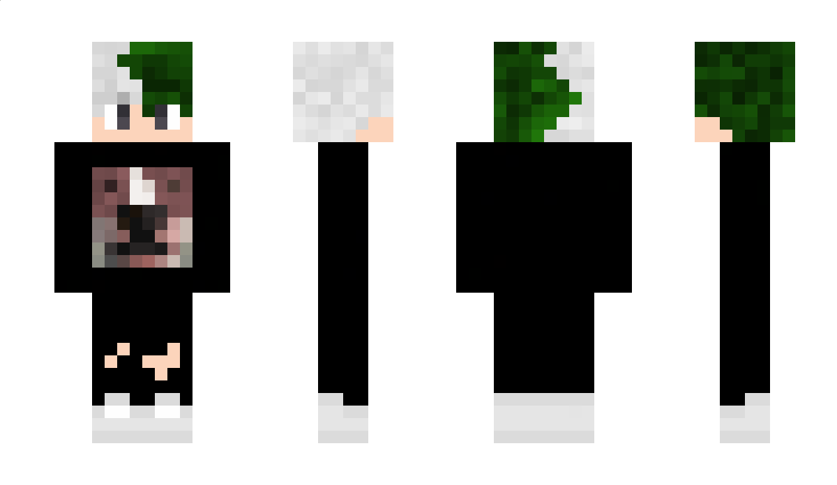 aalee Minecraft Skin