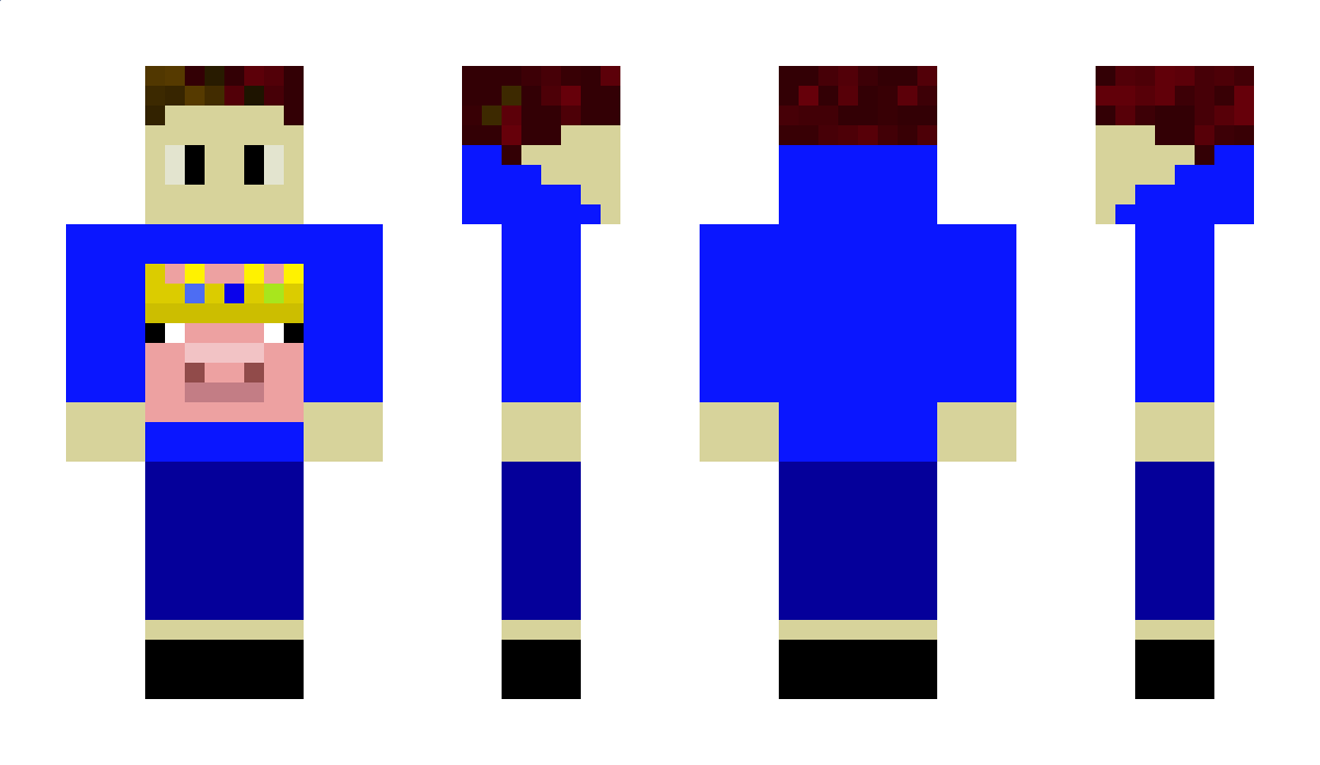 BeDarb Minecraft Skin