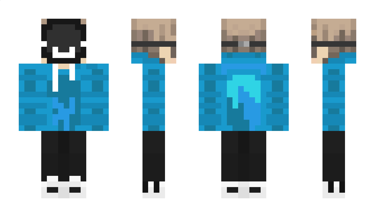 roboninjacat19 Minecraft Skin