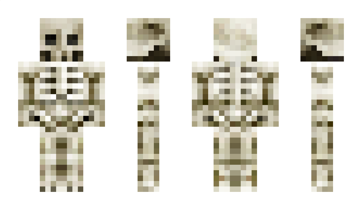 Q5574 Minecraft Skin