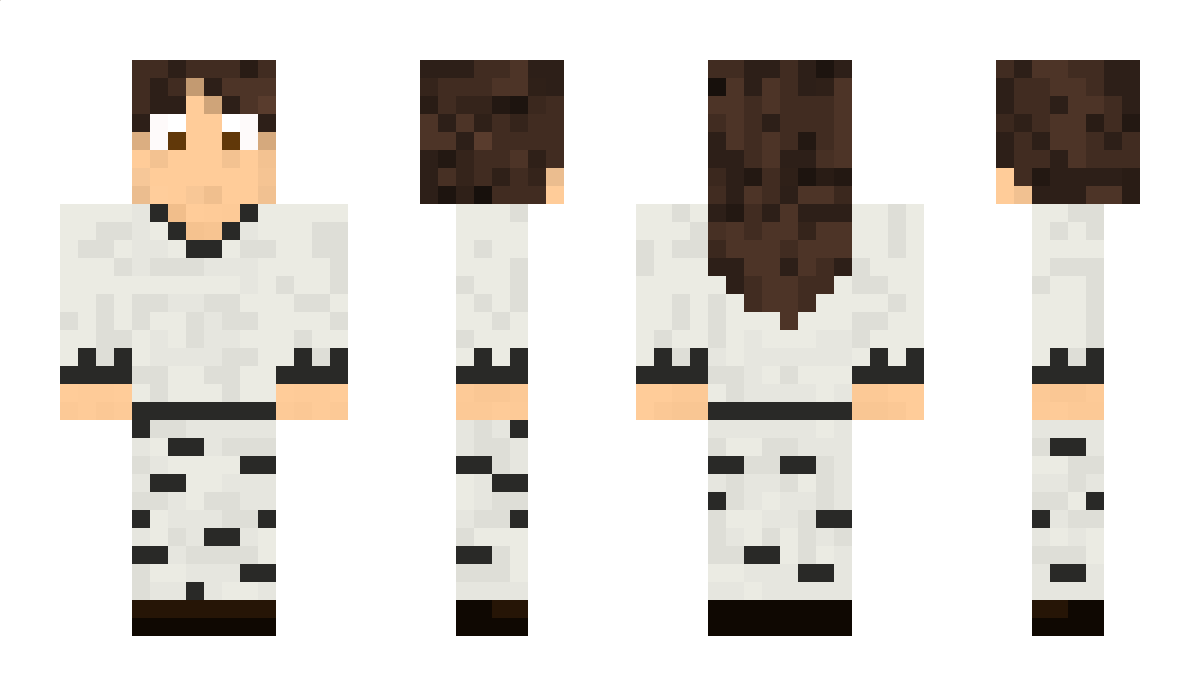 SwanRider Minecraft Skin