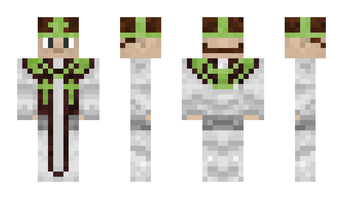 addsky11001 Minecraft Skin