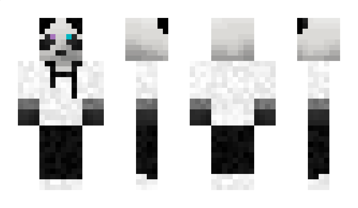 PsychoPand666 Minecraft Skin