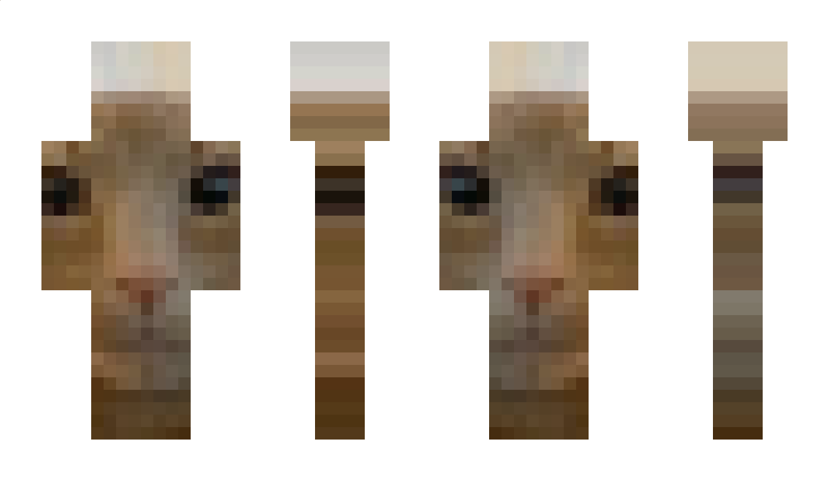 FIXRNG Minecraft Skin
