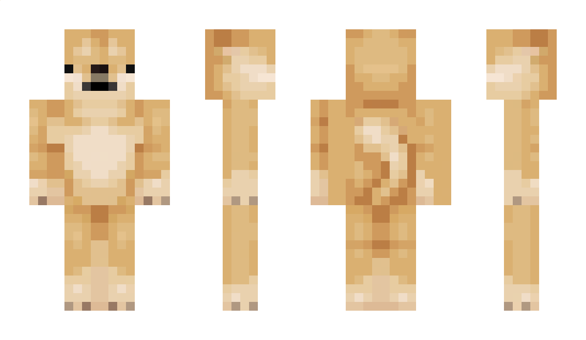 DaDogeboi Minecraft Skin