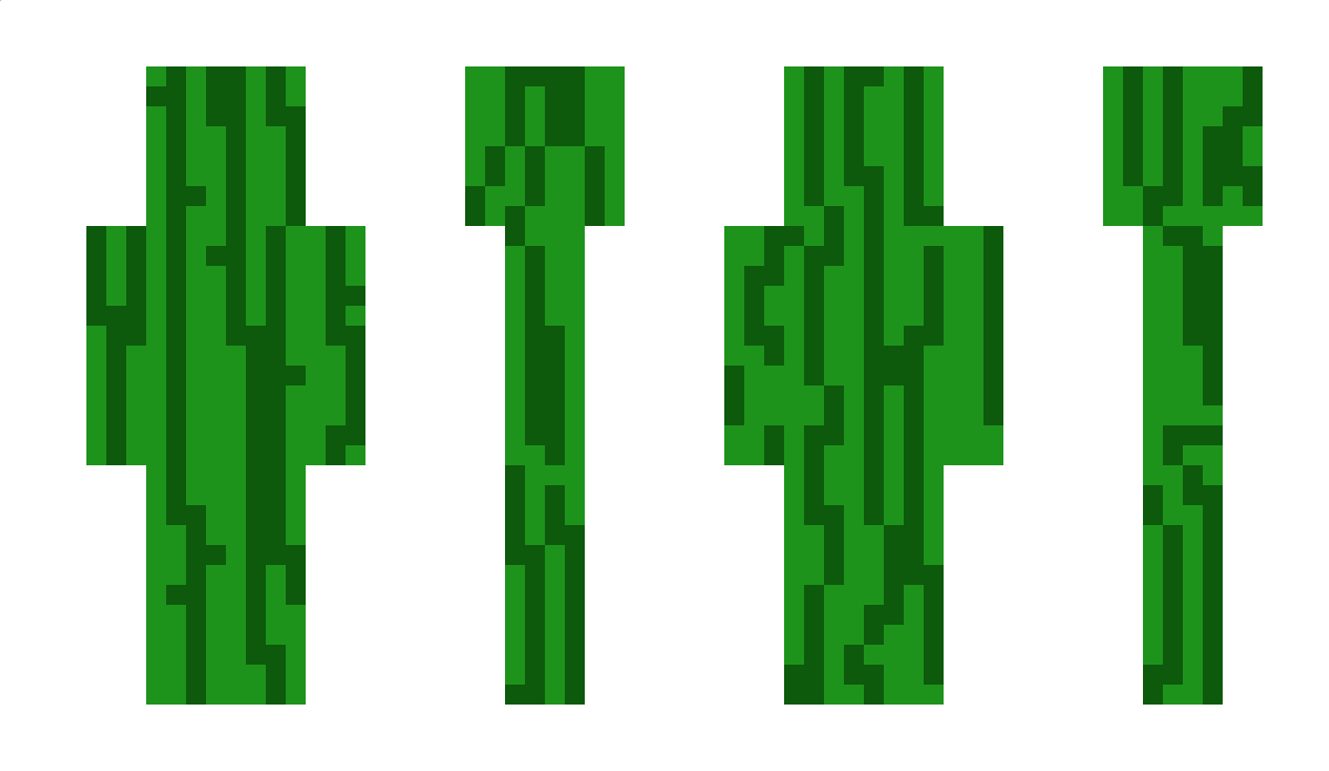 MelonnWasTaken Minecraft Skin