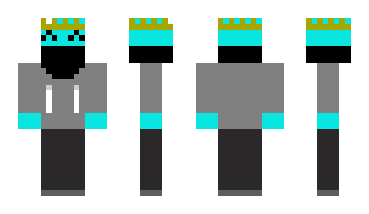 Blookvr Minecraft Skin