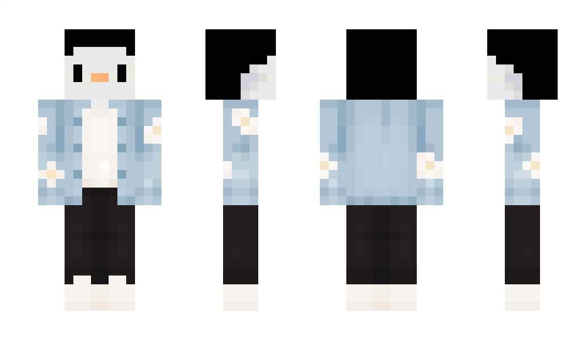 Roombla Minecraft Skin