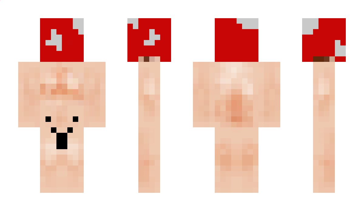 Synlyfe Minecraft Skin