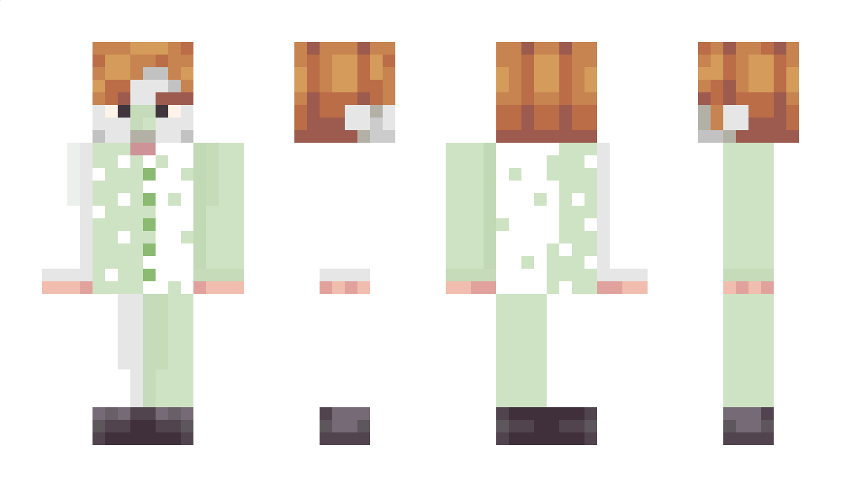 vovsik89 Minecraft Skin