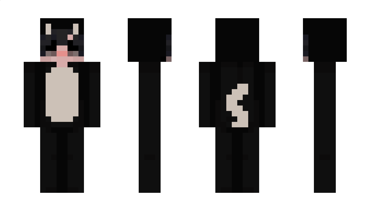 sampack Minecraft Skin