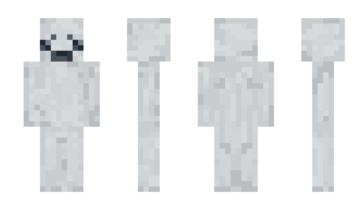 sleepeui Minecraft Skin