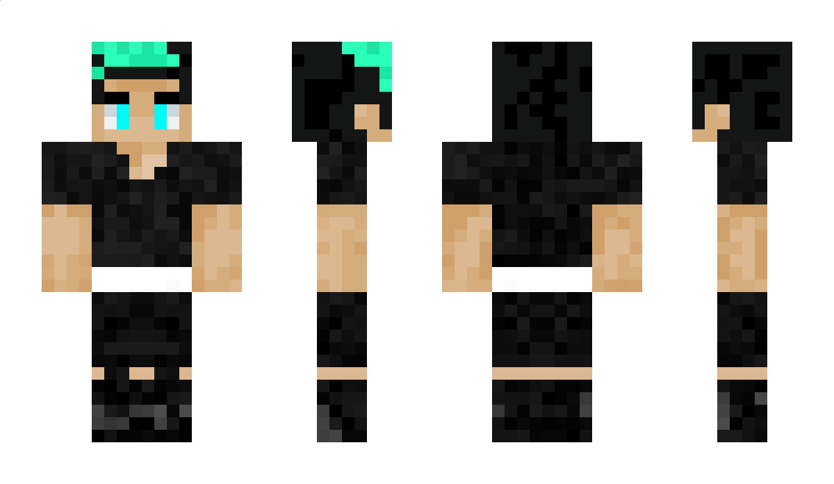 YTincDashD Minecraft Skin