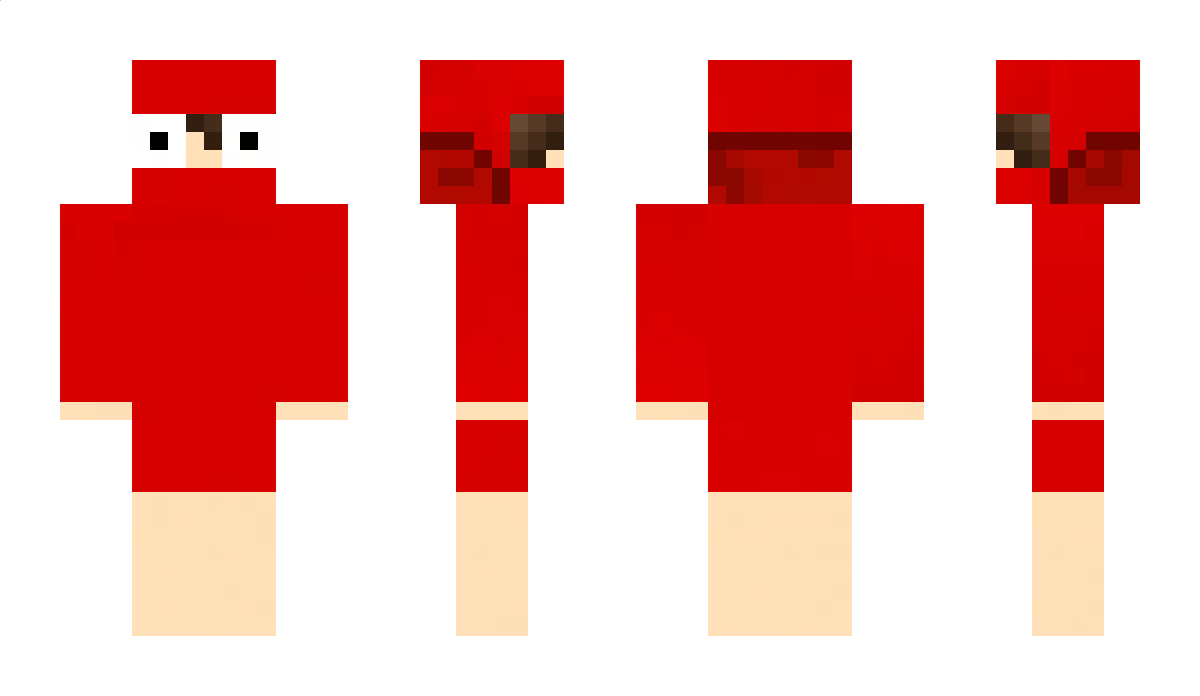 TuanHung_110509 Minecraft Skin