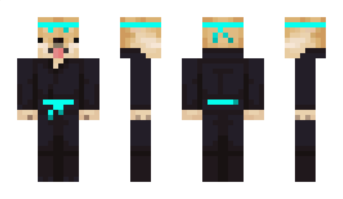 NoSleepIssues Minecraft Skin