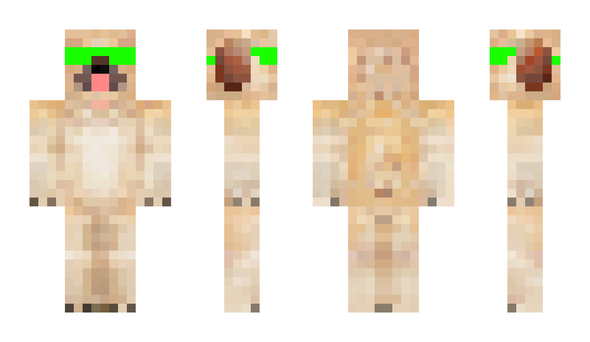 BOSSSKYDOG Minecraft Skin