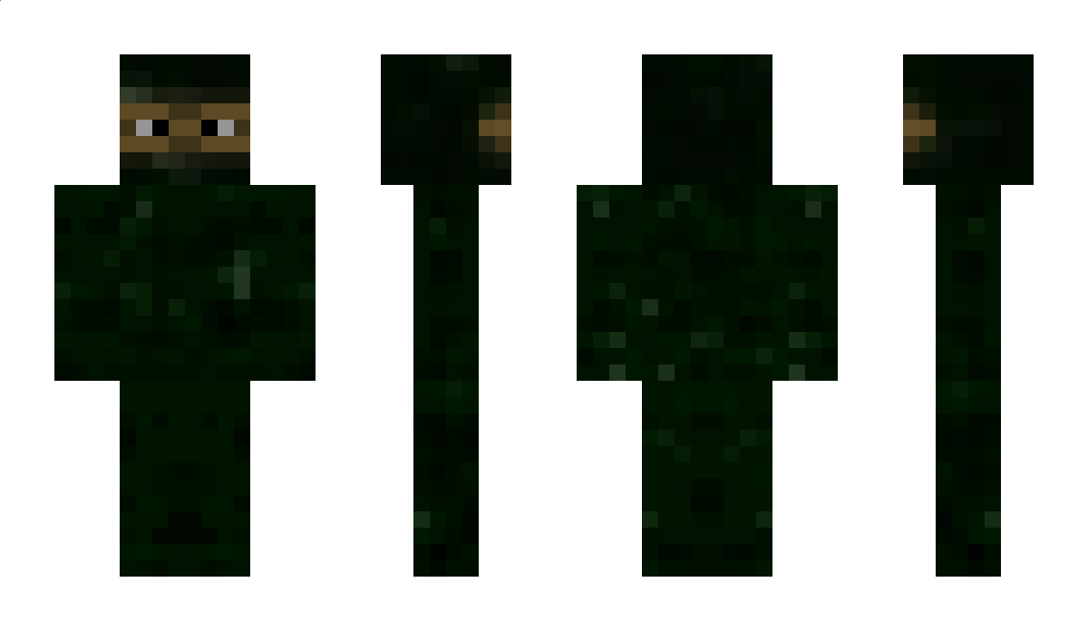 ____ Minecraft Skin