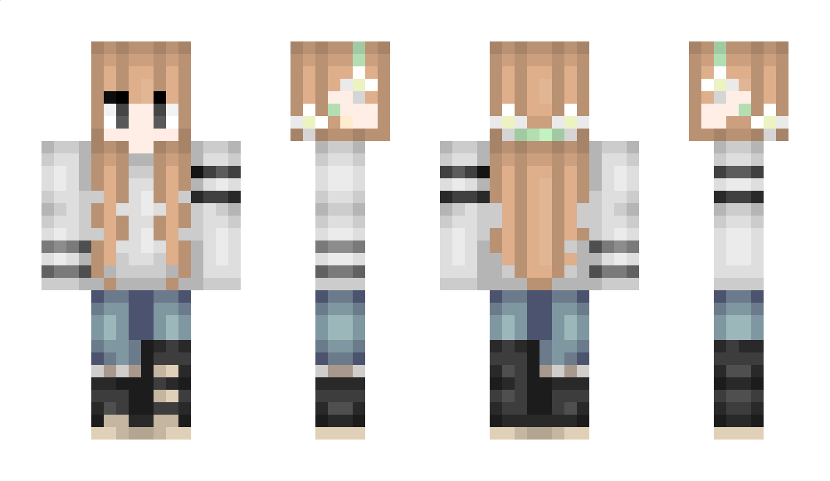 LLC Minecraft Skin