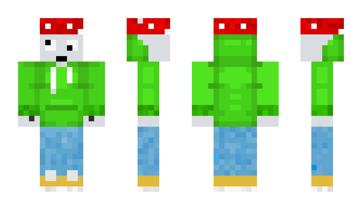 MrMushroomBoy99 Minecraft Skin