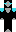 Dragonstar23 Minecraft Skin