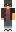 EndV_ Minecraft Skin