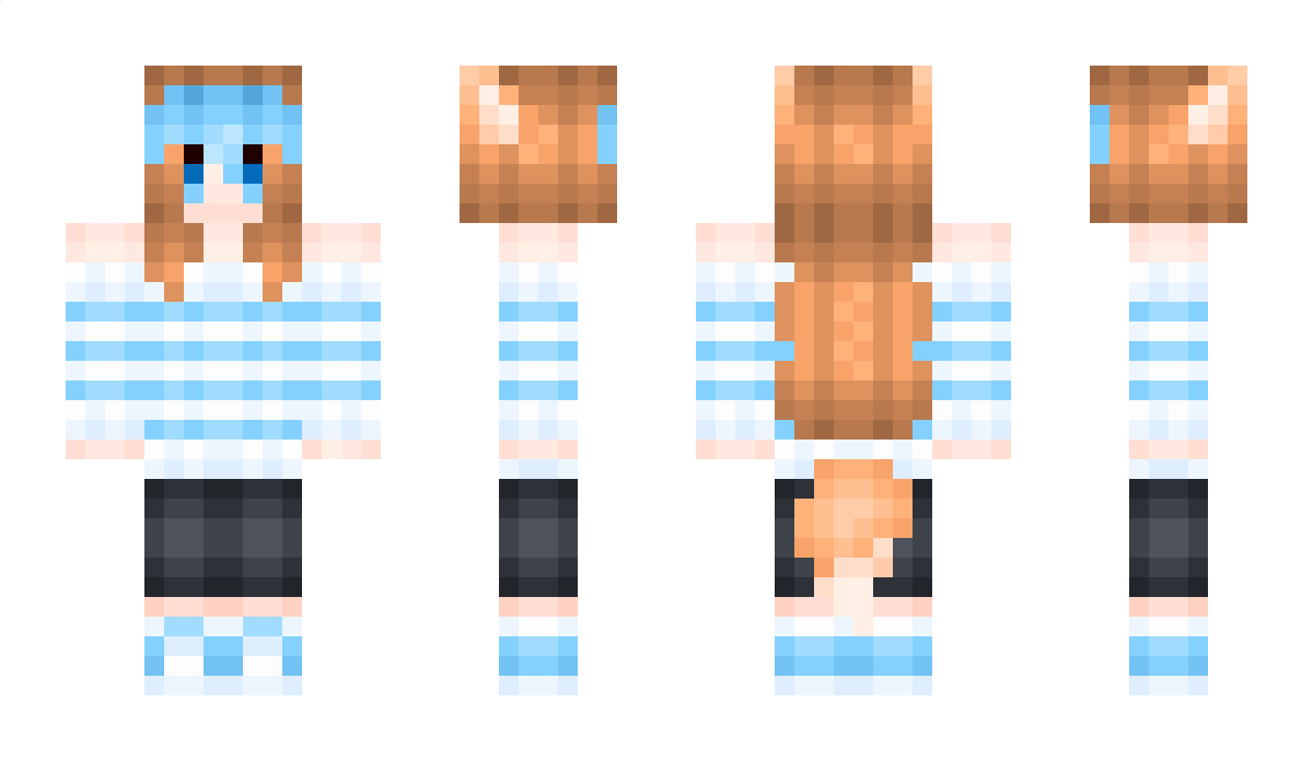 madipup Minecraft Skin