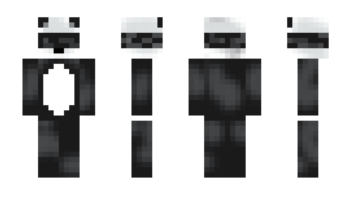 Python4652 Minecraft Skin