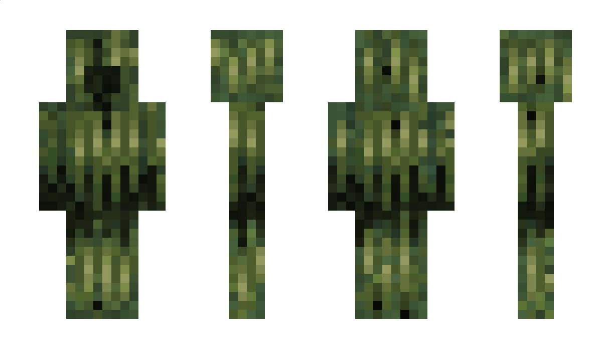 wivion Minecraft Skin