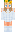 EnemySquid_ Minecraft Skin