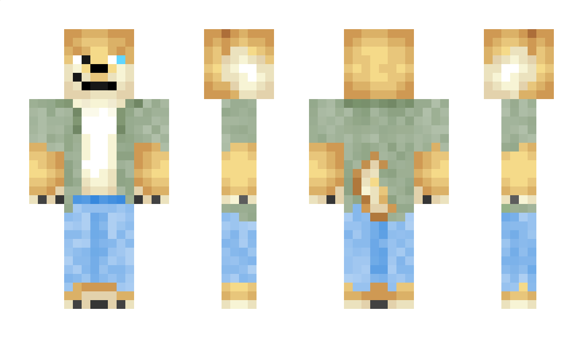 Zeppur Minecraft Skin