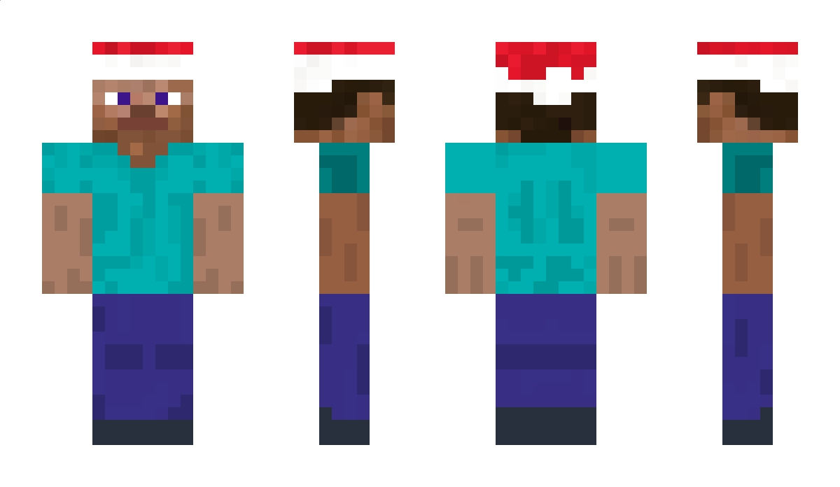 ___a Minecraft Skin