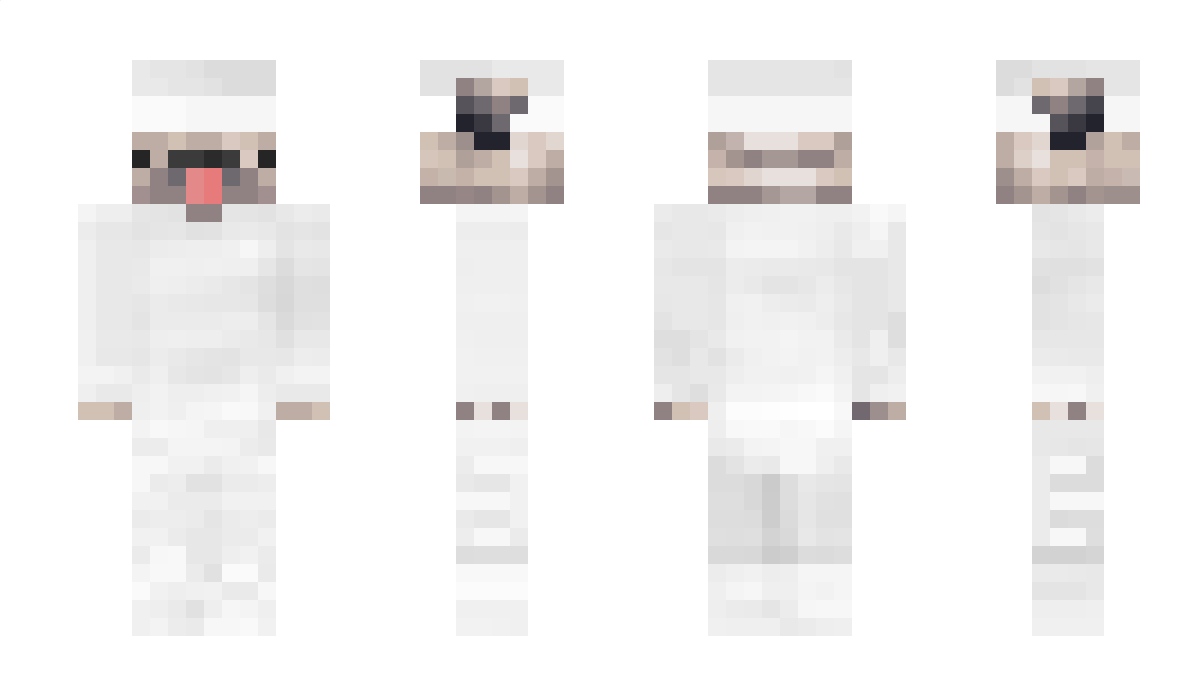 SnibiCraft Minecraft Skin