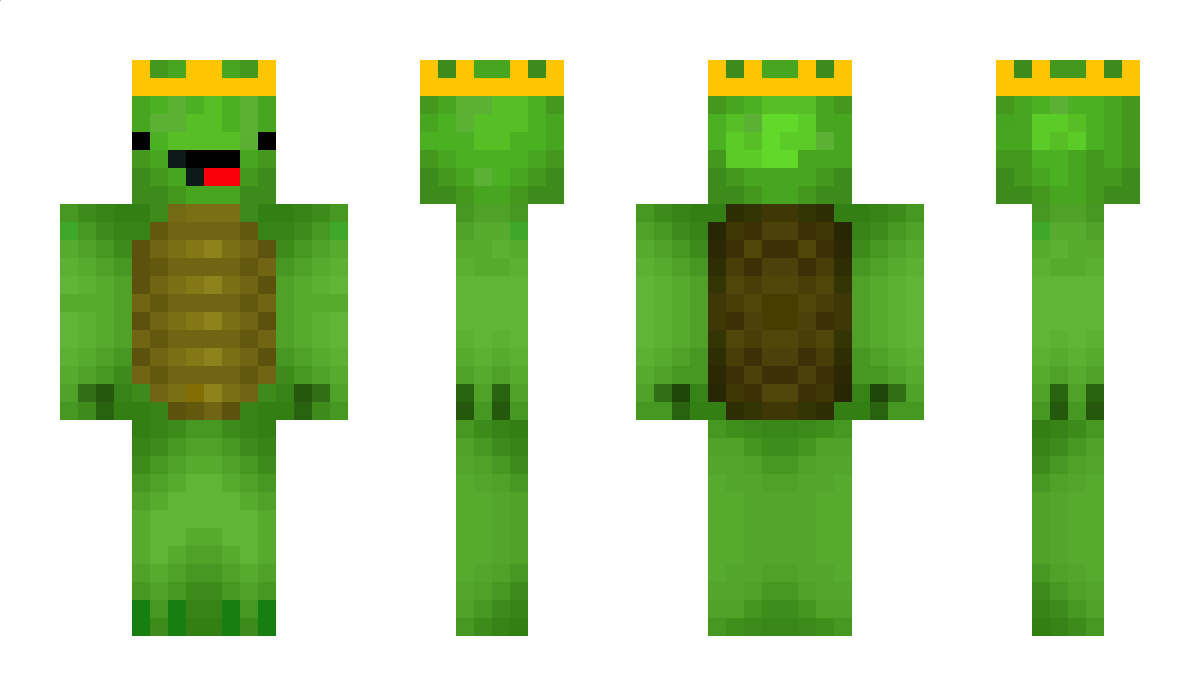 MrTopHatTurtle Minecraft Skin