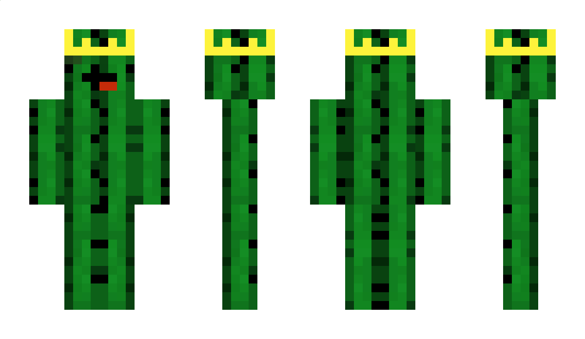Kaktus7707 Minecraft Skin
