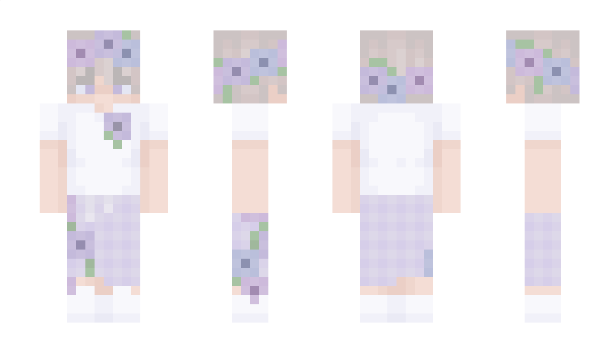 MCJavaCrafter Minecraft Skin