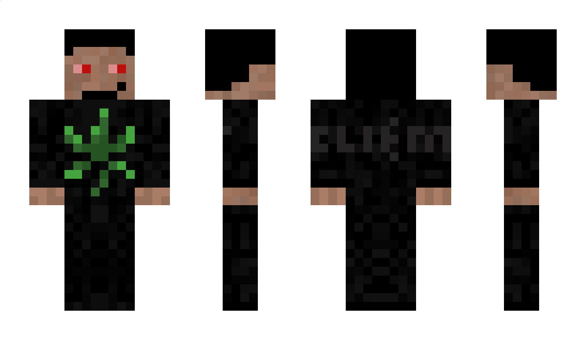 clienterr Minecraft Skin