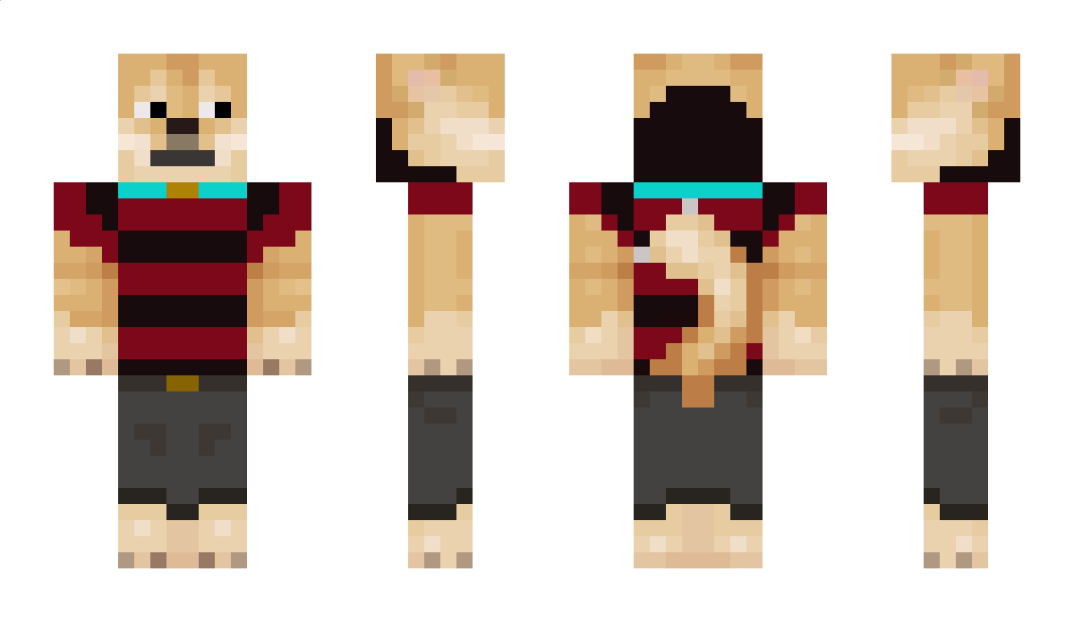 Minecraft_z_Niko Minecraft Skin