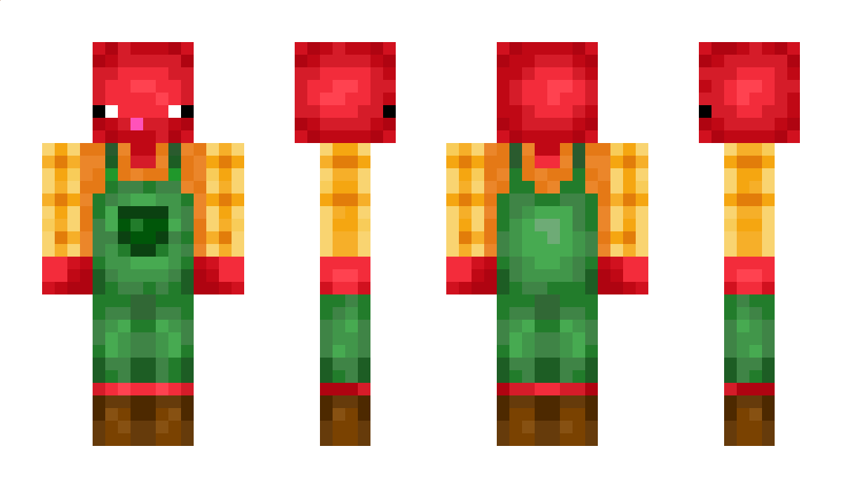 leo2314 Minecraft Skin