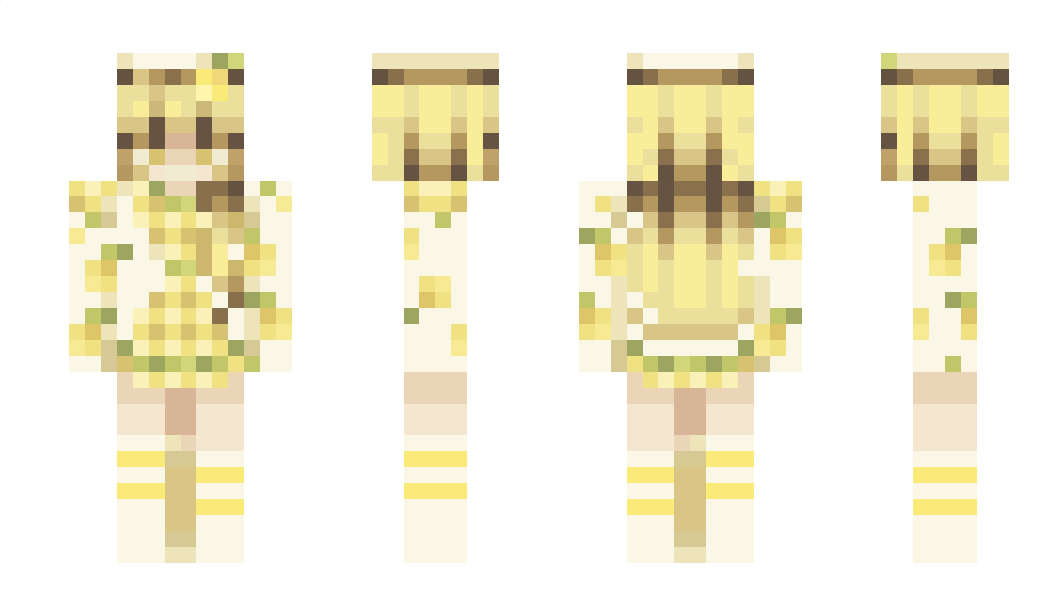 11wr Minecraft Skin