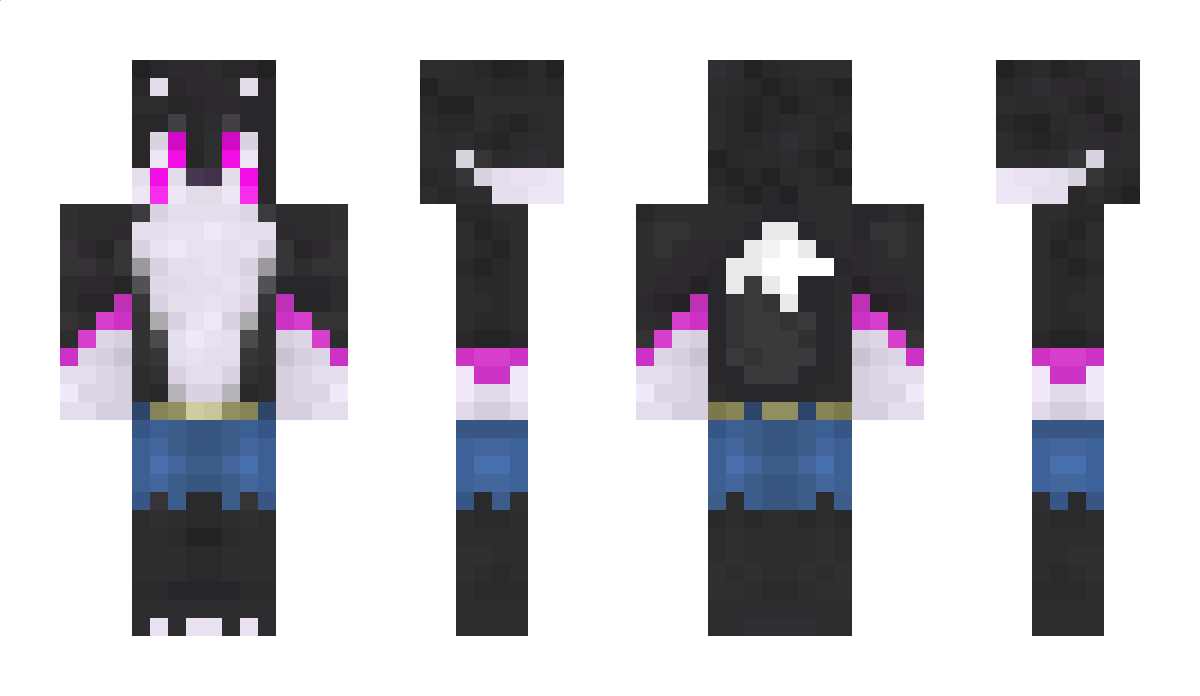 hemuli5407 Minecraft Skin