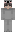 slide Minecraft Skin