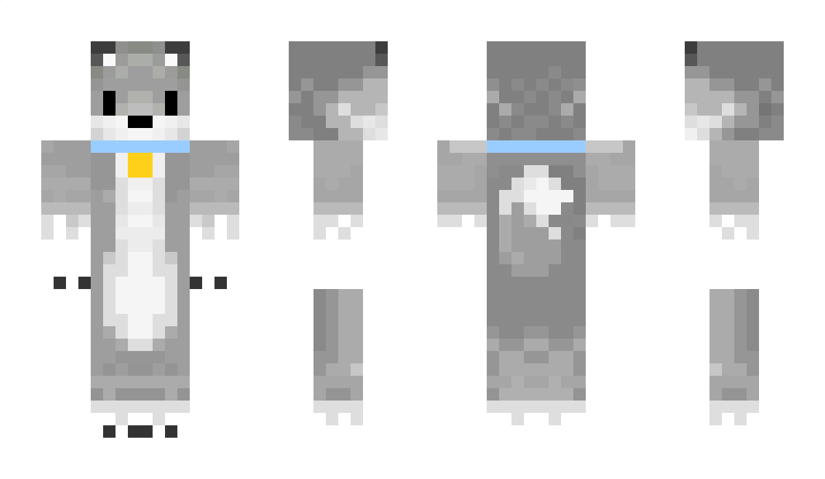 DragonGames_NSD Minecraft Skin